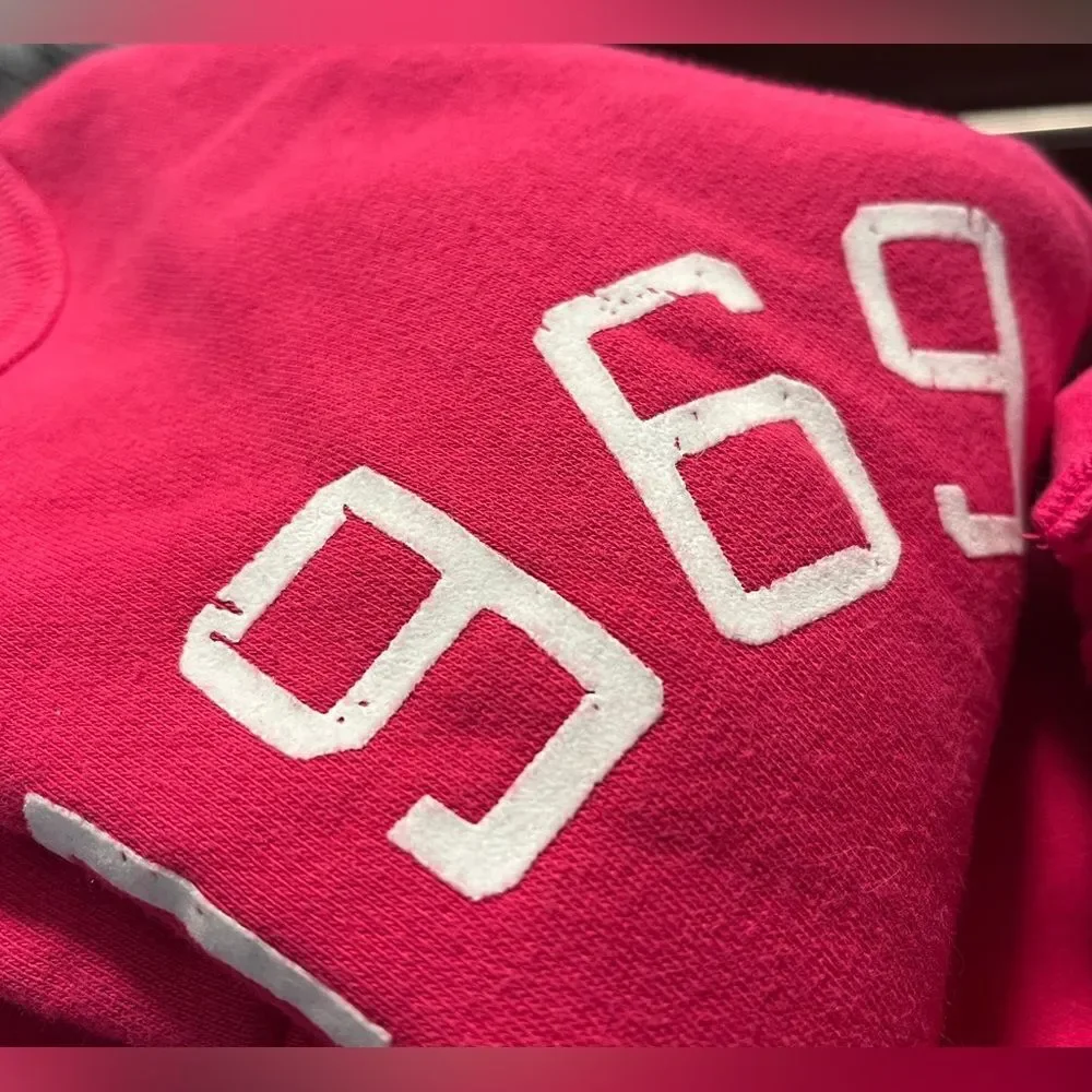 GAP Girl Pink Fleece Sweatshirt & Jogger Pants Set Sz 4